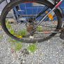 bike Image 6