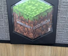 Minecraft Blockopedia book
