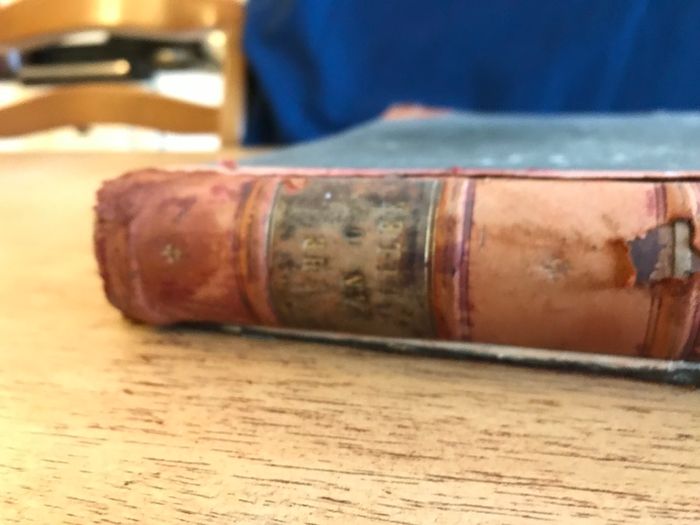 Antique Book 'The Man of Galilee'