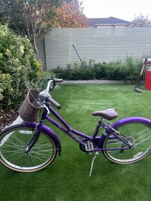 Purple bike with basket