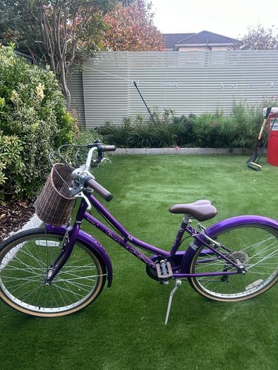 Purple bike with basket
