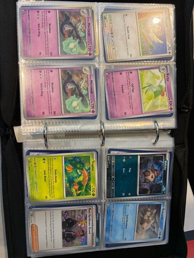 Pokemon TCG Card Collection (480 Cards)