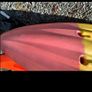 Kayak Image 10