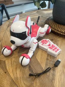 Zoey the Robo Dog