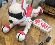 Zoey the Robo Dog