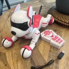 Zoey the Robo Dog