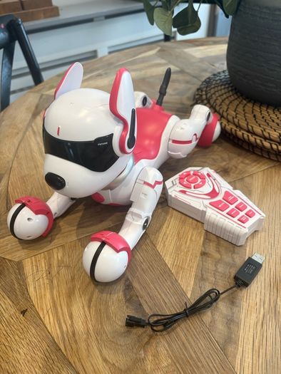 Zoey the Robo Dog