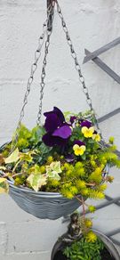 otdoor hanging pot