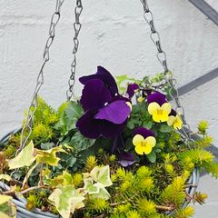 otdoor hanging pot