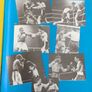 2 x boxing programmes,, Barry mcguigan fight 15th February 1986  R.D.S dublin ,and Steve Collins fight,9 September 1995 Cork, , 2 x irish boxing champions,,2 x legends of irish boxing... Image 10