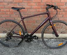 Giant Fastroad Hybrid Bike