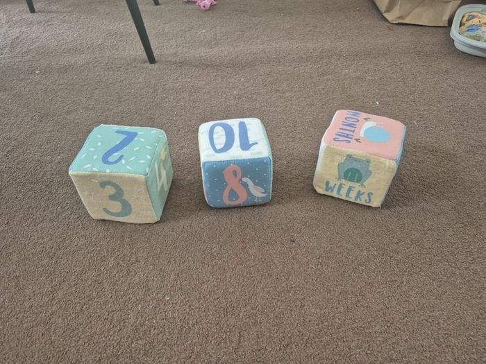 Baby Age Blocks and Blanket