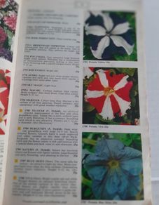 Vintage Suttons seeds book and unopened seeds from 1976