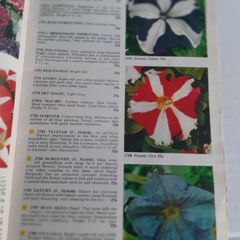 Vintage Suttons seeds book and unopened seeds from 1976