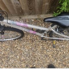 Apollo Twilight Mountain bike