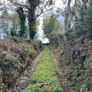 Site for sale Borris/Rathanna co Carlow Image 2