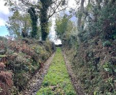 site for sale