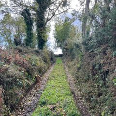 site for sale