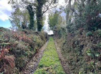 site for sale