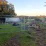 dog pen/ chicken run Image 2