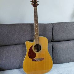 Acoustic Guitar