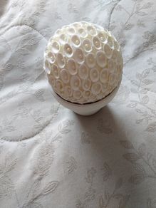 Shell Ball with Ceramic Pot