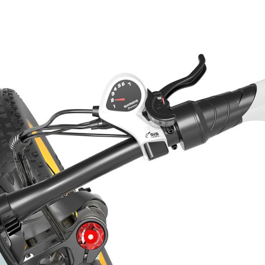 Lankeleisi X3000 Plus-UP 20 Inch 4.0 Fat Tire Snow Bike