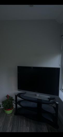 42" Phillips TV & Stand