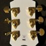 Epiphone Les Paul Custom Alpine White Image 4