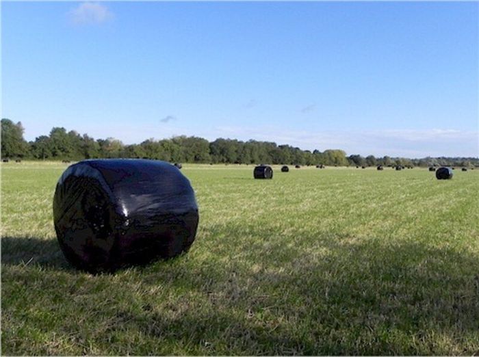 Haylage for sale