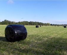 Haylage for sale