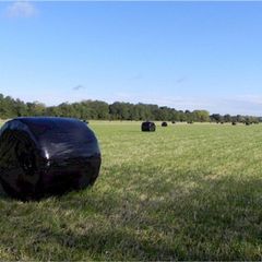 Haylage for sale