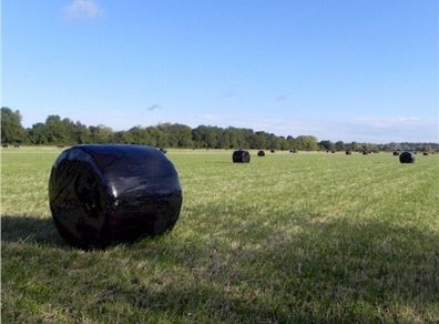 Haylage for sale