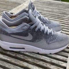 Nike Air Max 1 Flyknit 3m Wolf Grey