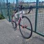Focus Cayo Image 4