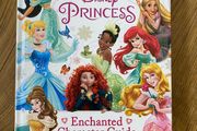 Disney Princess Enchanted Character Guide