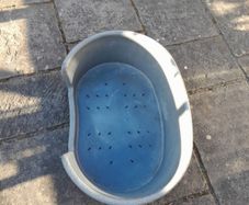 Plastic Dog Bed