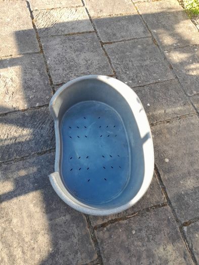 Plastic Dog Bed