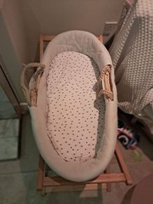 Moses basket