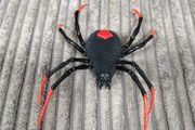 Robo Alive Crawling Spider