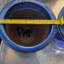 Plant pots Image 3
