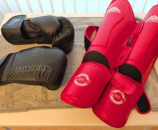 Combat Sports Training Set: 14 oz Boxing Gloves + Shin Guards (Size L/XL)