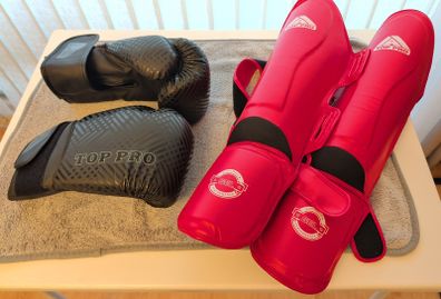 Combat Sports Training Set: 14 oz Boxing Gloves + Shin Guards (Size L/XL)