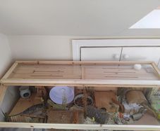 Hamster Enclosure
