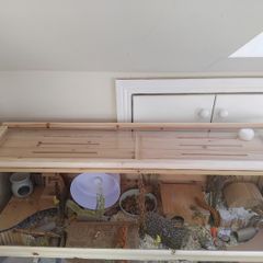 Hamster Enclosure