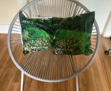 Brand new garden Rattan  chair and cushions