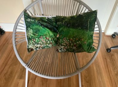 Brand new garden Rattan  chair and cushions
