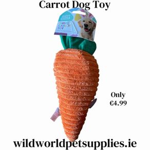 Dog Toy