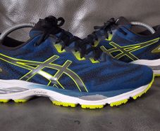 Asics Gel Ziruss 5 Running Shoes