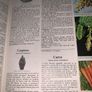 Reader's Digest Encyclopaedia of Garden Plants and Flowers Hardcover - 1993 Image 7